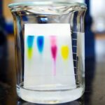 Chromatography